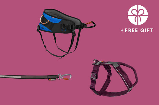 Hiking kit purple