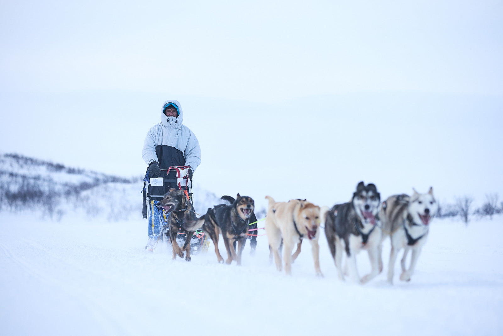 Tundra anojakka 2.0 (3)
